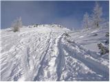 Planina Zajavornik - Mrežce